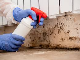 Kensington, CA Mold Remediation Company